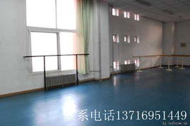 舞蹈教室專業(yè)塑膠地板舞蹈健身房膠地板產(chǎn)品的資料
